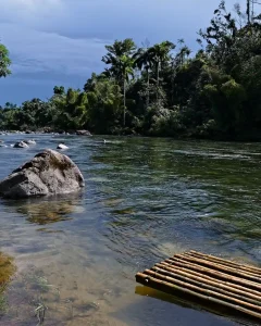 Amazon Manu Tour 3 Days Cultural Zone | Book Now