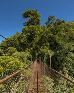 Amazon Manu Tour 3 Days Cultural Zone | Book Now