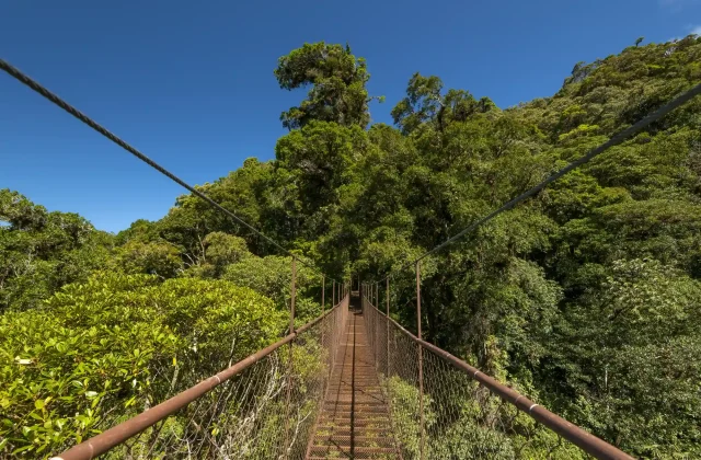 tambopata tour amazon16