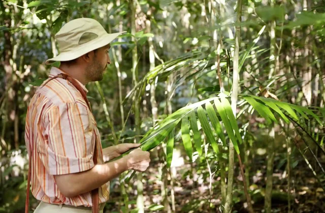 tambopata tour amazon6