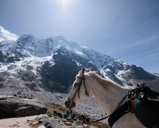 Salkantay Trek 4 Days + Llactapata Trek– No Machu Picchu Ticket & No Return Included | Book Now