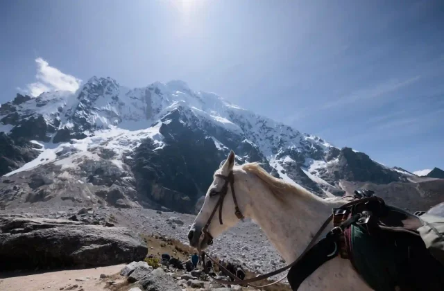 white-horse-salkantay-mountain-peru