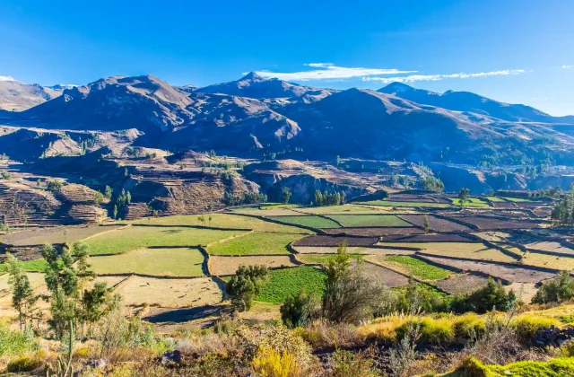 colca-canyon-perusouth-america-incas-build-farming-terraces-with-pond-cliff-one-deepest-canyons-world