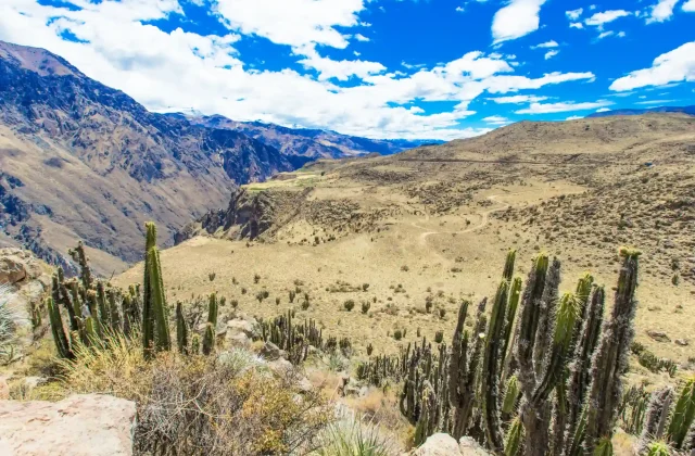 landscape-peru (3)