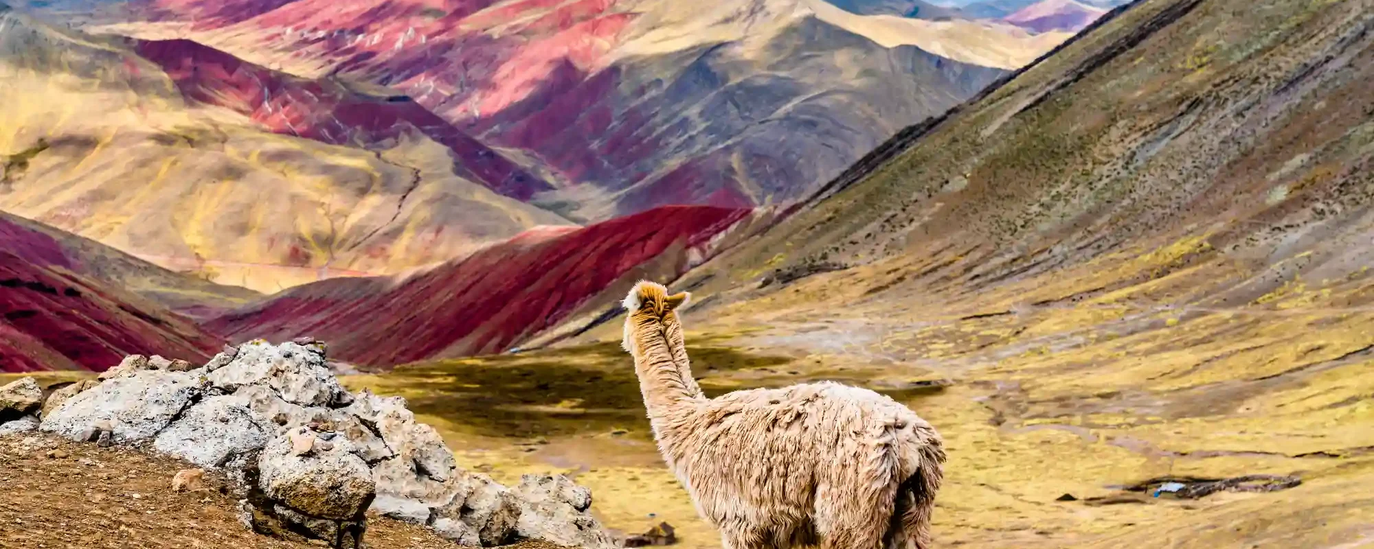 Palcoyo Rainbow Mountain Day Tour