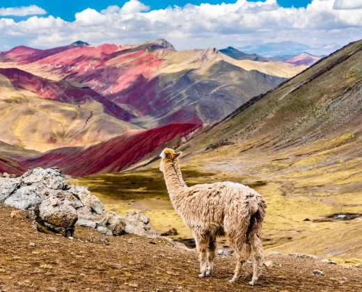 Palcoyo Rainbow Mountain Day Tour