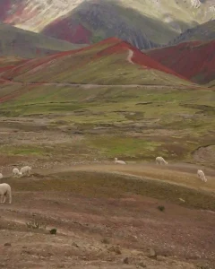 Palcoyo Rainbow Mountain Day Tour