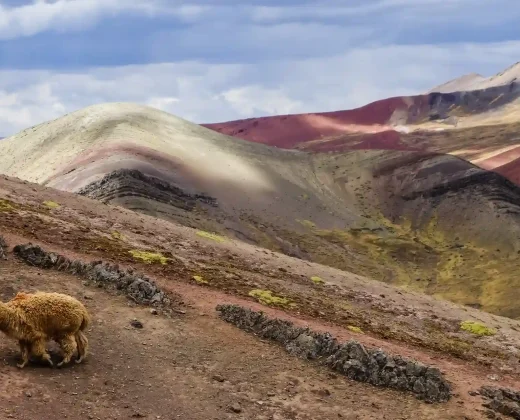 Rainbow Mountain Tour