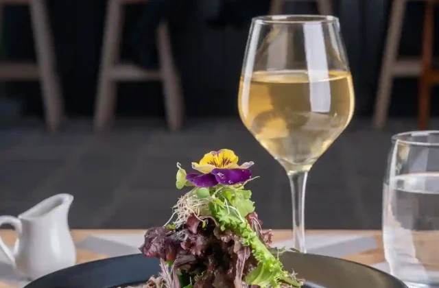 photo-book-tourists-country-restaurant-city-cusco