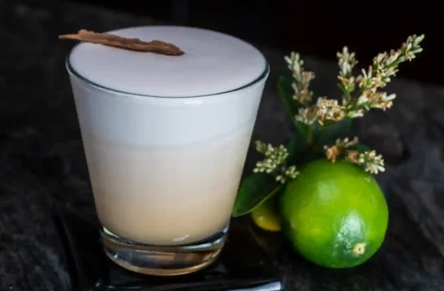 pisco-sour-bebida-tipica-del-peru