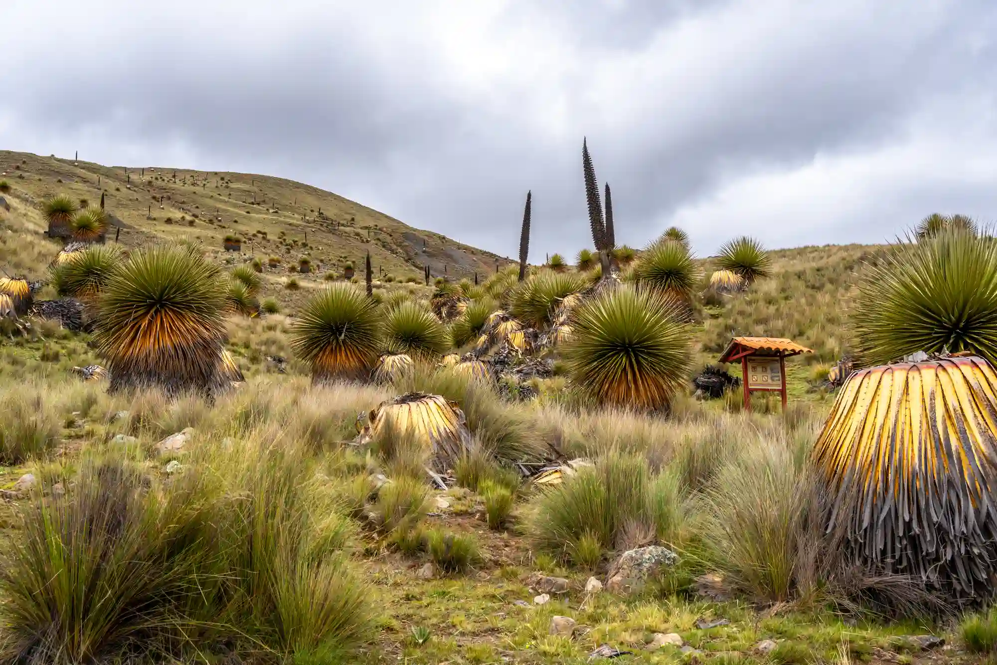 Essential Advice for Choquequirao and its remote ruins