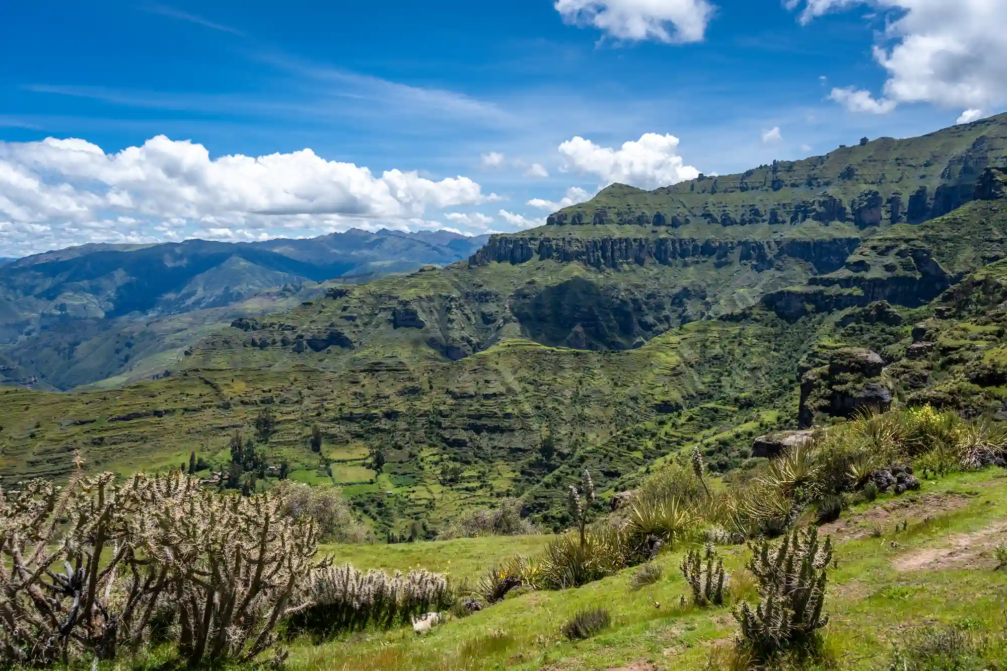 Wildlife on the Inca Trail for First-Time Travelers